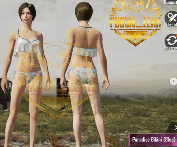 Paradise Bikin PUBG Mobile