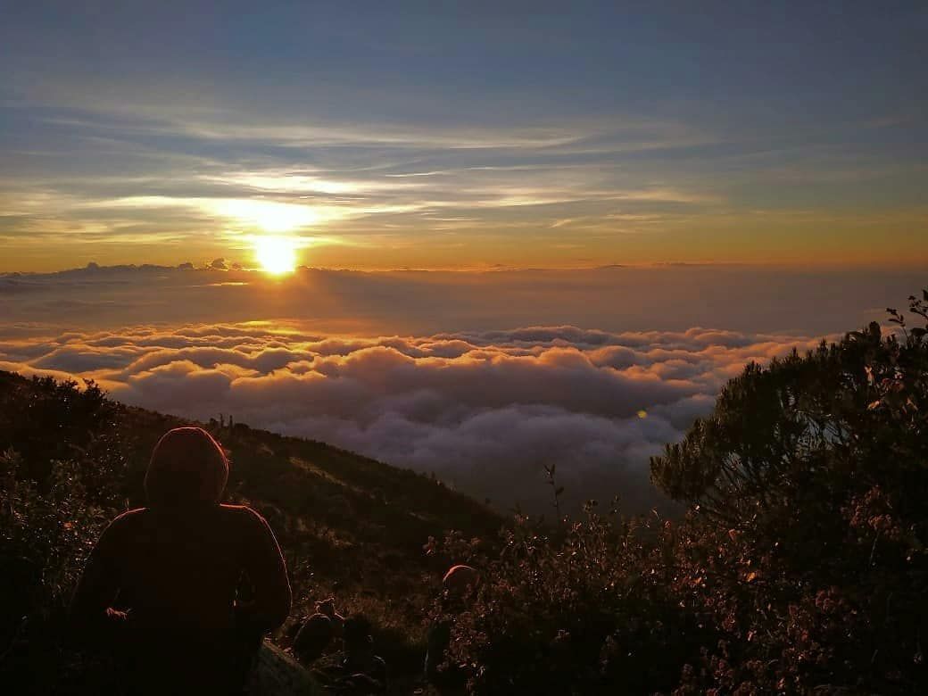 Ilustrasi gunung Lawu