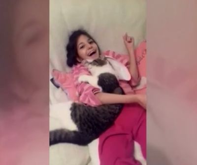 Video Kucing Penampungan Akhirnya Temukan Kebahagiaan Bersama Gadis dengan Kebutuhan Khusus, Menggemaskan!!