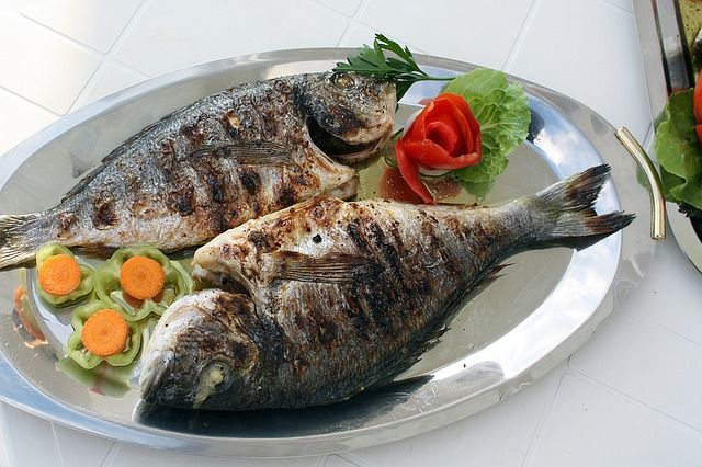 Ilustrasi makan ikan