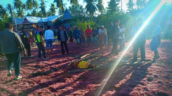 Pelaku pembacokan Dg Kulle tergeletak usai diamuk massa di Dusun Batu Le'leng Barat, Desa Mallasoro, Kecamatan Bangkala, Kabupaten Jeneponto, Sulawesi Selatan, Rabu (24/7/2019) pagi.