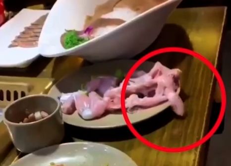 Viral Video Potongan Daging Ayam yang Siap Dioleh Hidup Kembali Hingga Melompat dari Piring!