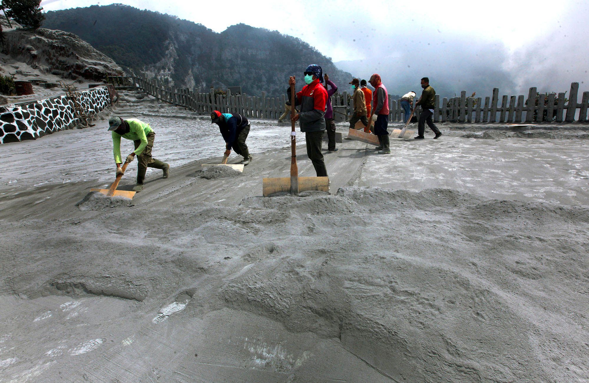 Sejumlah petugas diturunkan untuk membersihkan abu vulkanik yang bertebaran mencapai ketebalan 10 cm di jalan menuju kawah Gunung Tangkuban Parahu, Desa Cikole, Kecamatan Lembang, Kabupaten Bandung Barat, Sabtu (27/7/2019). Menyusul erupsi pada Jumat (26/7), Taman Wisata Alam Tangkuban Parahu ditutu