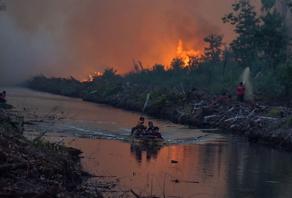 Sejumlah petugas pemadan kebakaran PT Riau Andalan Pulp and Paper (RAPP) berusaha memadamkan kebakaran lahan gambut di Desa Penarikan Kecamatan Langgam Kabupaten Pelalawan, Riau, Minggu (28/7/2019). Berdasarkan data Badan Nasional Penanggulangan Bencana (BNPB) kebakaran hutan dan lahan hingga Juli 2