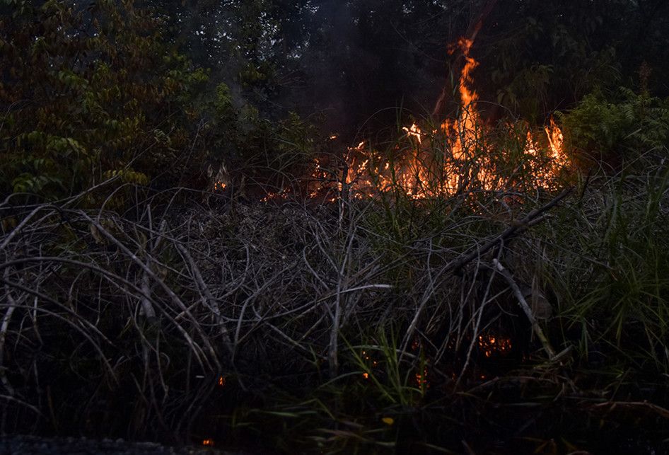 Api berkobar dari kebakaran lahan gambut di Desa Penarikan Kecamatan Langgam Kabupaten Pelalawan, Riau, Minggu (28/7/2019). Berdasarkan data Badan Nasional Penanggulangan Bencana (BNPB) kebakaran hutan dan lahan hingga Juli 2019 luasnya lebih dari 27 ribu hektare, dan kini masih terus meluas di Kabu