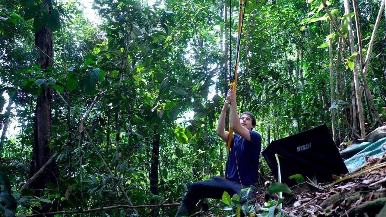 Topher melontarkan pemberat untuk merakit jalur tali guna menjangkau atap pohon 