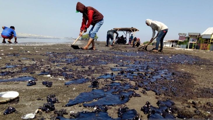 sejumlah warga bergotong royong bersihkan tumpahan minyak di Kepulauan Seribu