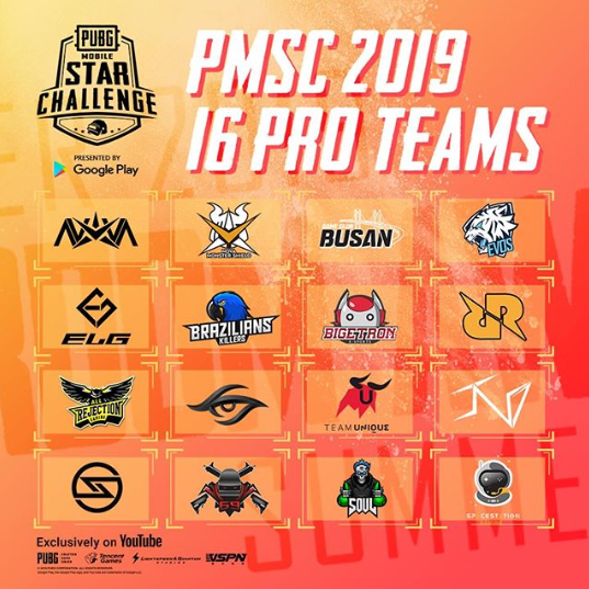 PMSC 2019 16 PRO TEAMS