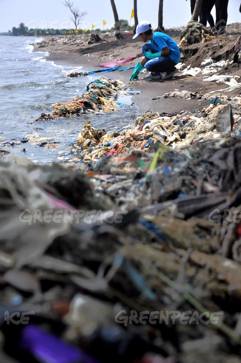 relawan Greenpeace membersihkan pantai Kuk Cituis Tangerang Banten dari sampah-sampah plastik