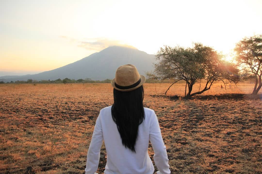 savana Bekol di Taman Nasional Baluran