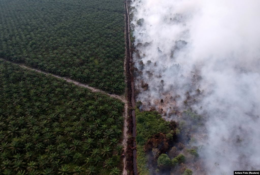 Foto udara kebakaran hutan di samping perkebunan kelapa sawit di kabupaten Kumpeh Ulu di Muaro Jambi, provinsi Jambi.