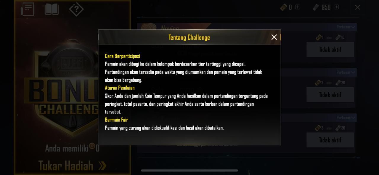 Tentang Challenge