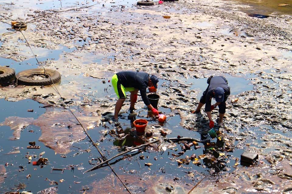 sisa-sisa dampak dari insiden tumpahan minyak di Teluk Balikpapan