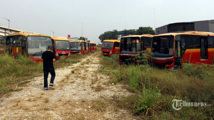 Ratusan bus TransJakarta mangkrak di kawasan Dramaga Bogor.