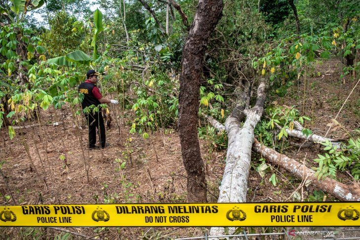 Personel Tim Labfor Mabes Polri Cabang Semarang melakukan olah tempat kejadian perkara (TKP) peristiwa ledakan yang diduga akibat loncatan arus jaringan transmisi Saluran Udara Tegangan Ekstra TinggiÂ (SUTET) 500 kV interkoneksi Jawa-Bali yang melintang di Gunungpati, Semarang, Jawa Tengah, Selasa (6/4/2019).