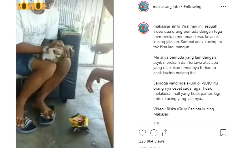 Video kekerasan kepada anak kucing yang diunggah oleh akun instagram @makassar_iinfo