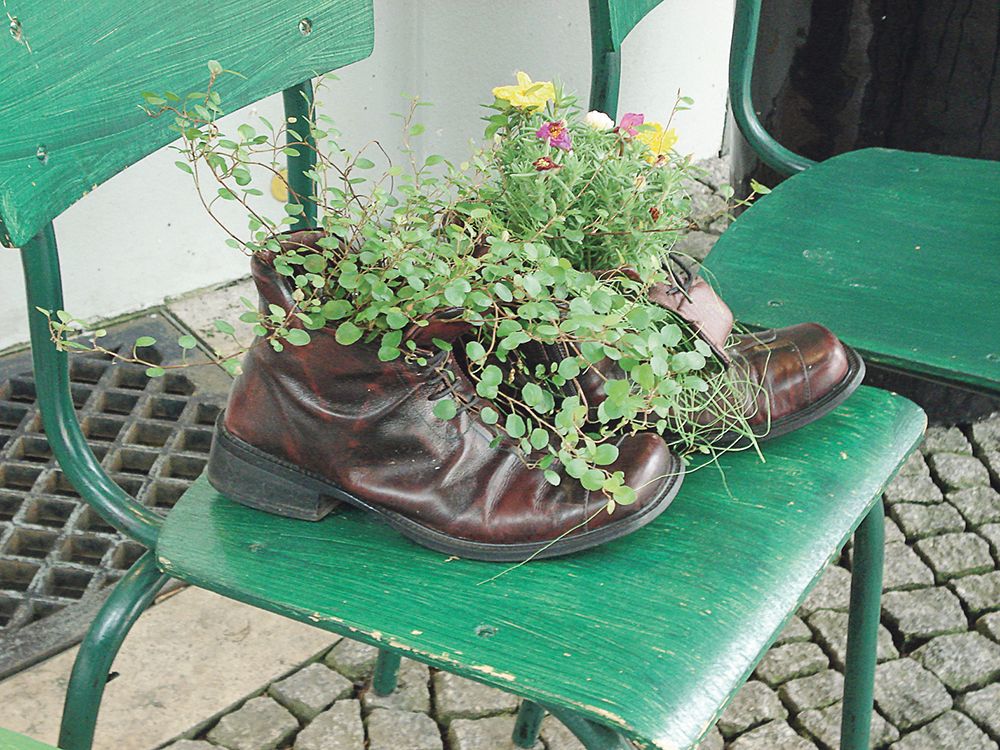 Untuk bunga-bunga yang memiliki daun dan bunga berukuran kecil, penempatan pada ornamen besi berbentuk sepatu ini menjadi hal yang juga unik. Berfungsi sebagai pajangan dan juga pot.
