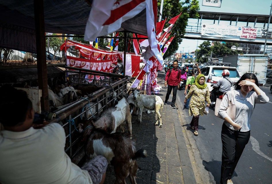 Pedagang memanfaatkan trotoar untuk berjualan hewan kurban di Jalan KH Mas Mansyur, Tanah Abang, Jakarta Pusat, Rabu (7/8/2019). Kambing yang didatangkan dari daerah di Jawa Tengah tersebut ditawarkan antara Rp 2,5 juta hingga Rp 6,5 juta, tergantung beratnya kambing.