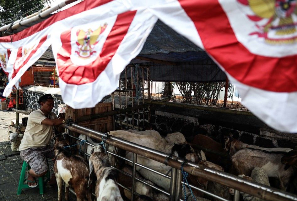 Pedagang memanfaatkan trotoar untuk berjualan hewan kurban di Jalan KH Mas Mansyur, Tanah Abang, Jakarta Pusat, Rabu (7/8/2019). Kambing yang didatangkan dari daerah di Jawa Tengah tersebut ditawarkan antara Rp 2,5 juta hingga Rp 6,5 juta, tergantung beratnya kambing.