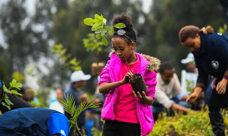 Kurangi Efek Perubahan Iklim, Ethiopia Tanam Jutaan Pohon Secara Bersamaan Hanya dalam 12 Jam, Lihat Videonya!