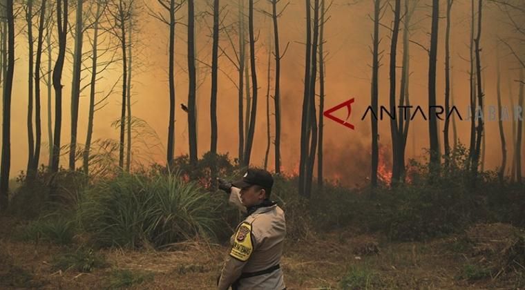 Arsip Foto. Petugas berusaha memadamkan kebakaran yang melanda kawasan hutan di Gunung Ciremai, Kuningan, Jawa Barat, Rabu (3/10/2018). 