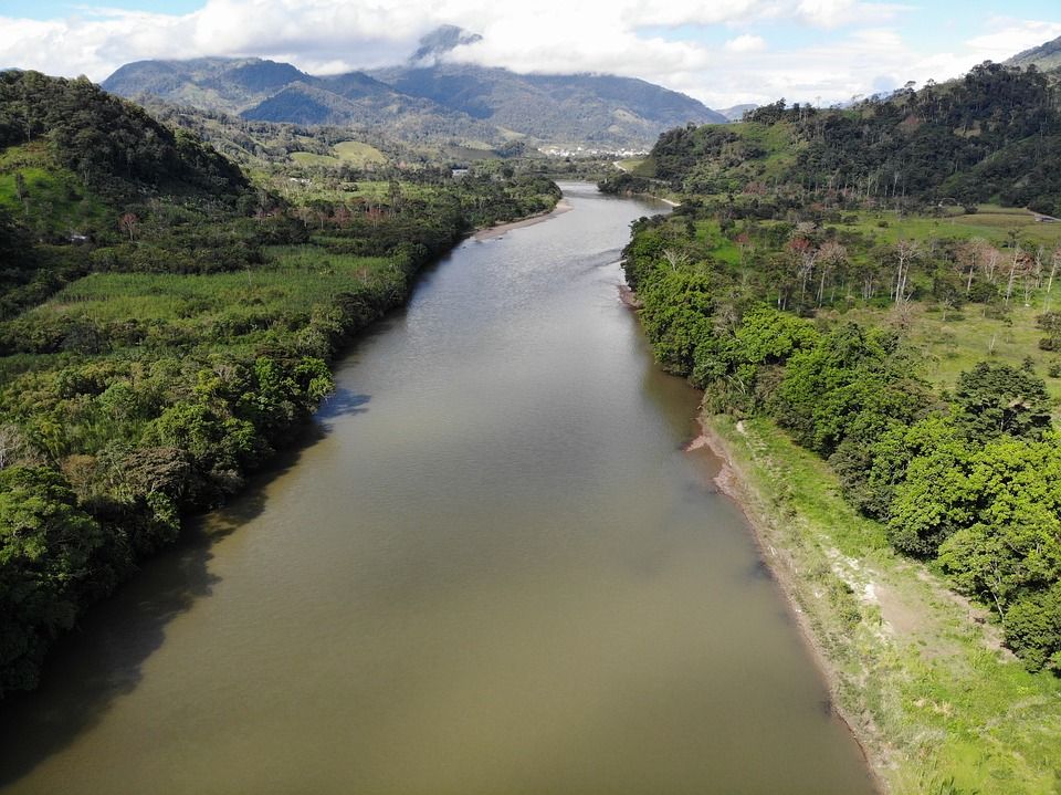 Ilustrasi Sungai Amazon