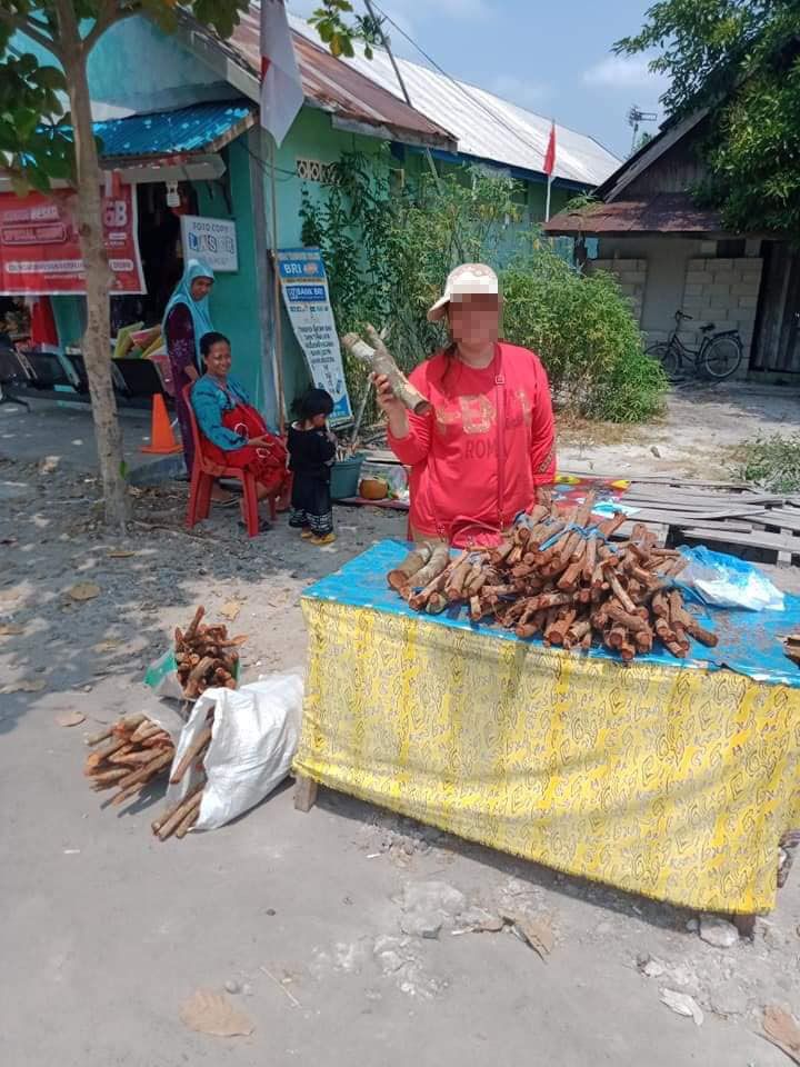 Pedagang menjual bajakah yang diyakini bisa menyembuhkan kanker.