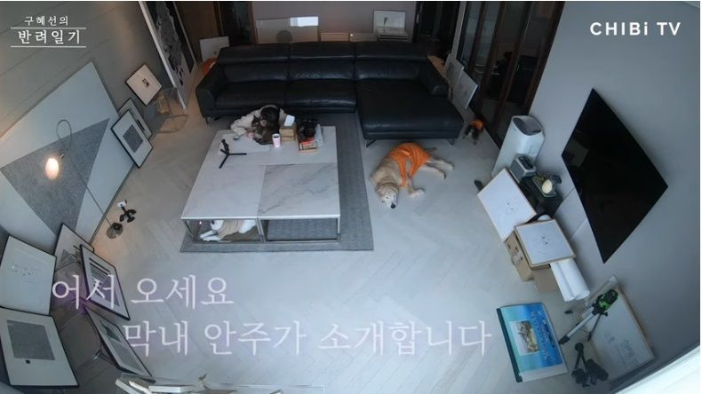 Fakta Perceraian Ahn Jae Hyun dan Goo Hye Sun, Begini Kondisi Rumahnya