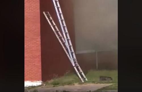Terjebak Kebakaran, Petugas Pemadam Kebakaran Sediakan Tangga untuk Selamatkan Rakun, Lihat Video Penyelamatannya!