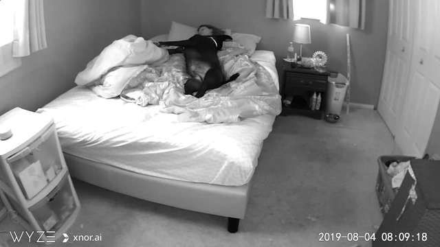 Penasaran dengan Tingkah Anjingnya Saat Ia Tidur, Wanita Ini Sengaja Pasang CCTV, Video Ini Tampilkan Hasil yang Mengejutkan!