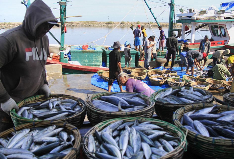 Aktivitas bongkar muat ikan hasil tangkapan nelayan di Pelabuhan Perikanan Samudera Kutaraja, Lampulo, Banda Aceh, Kamis (22/8/2019). Ikan hasil tangkapan nelayan Aceh mulai melimpah, namun harga merosot, seperti ikan tongkol dan sejenisnya dijual pedagang dengan kisaran Rp 15 ribu hingga Rp 18 ribu