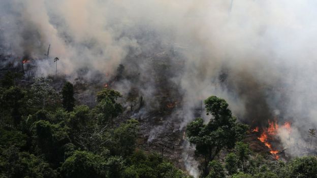 Menurut INPE, ada 73.000 kebakaran yang terjadi di Amazon. 