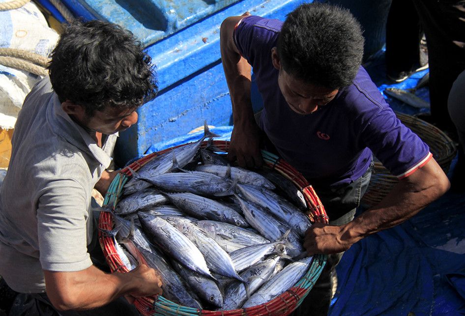Aktivitas bongkar muat ikan hasil tangkapan nelayan di Pelabuhan Perikanan Samudera Kutaraja, Lampulo, Banda Aceh, Kamis (22/8/2019). Ikan hasil tangkapan nelayan Aceh mulai melimpah, namun harga merosot, seperti ikan tongkol dan sejenisnya dijual pedagang dengan kisaran Rp 15 ribu hingga Rp 18 ribu