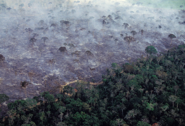 Kebakaran di hutan Amazon.