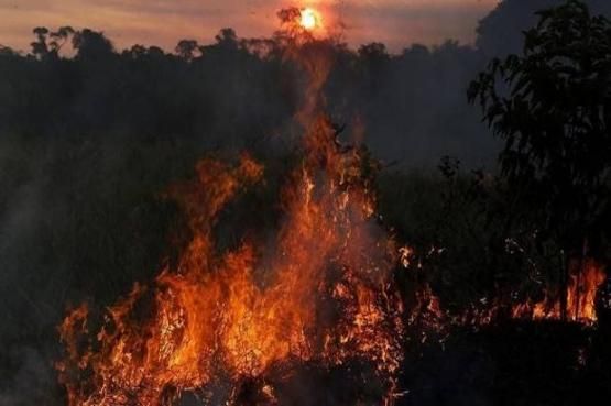 Kebakaran Hutan di Amazon, Brazil, Tercatat sebagai Kebakaran Hutan Terbesar Sepanjang Masa