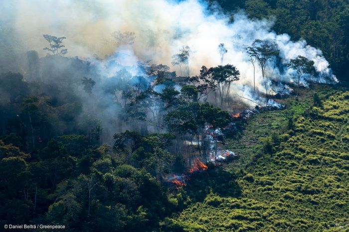 Kebakaran hutan Amazon