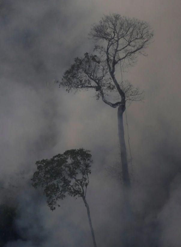 Kebakaran hutan hujan Amazon