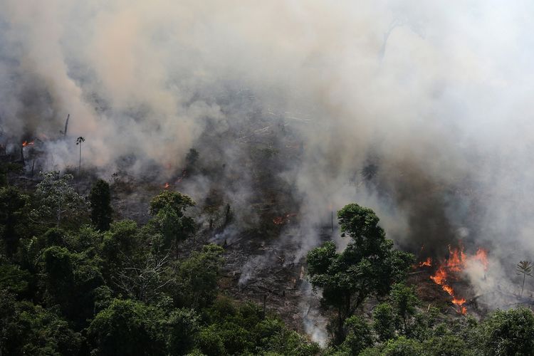 Sebuah foto dari udara yang menunjukkan kebakaran hutan Amazon di kawasan Novo Progresso, Negara Brasil.