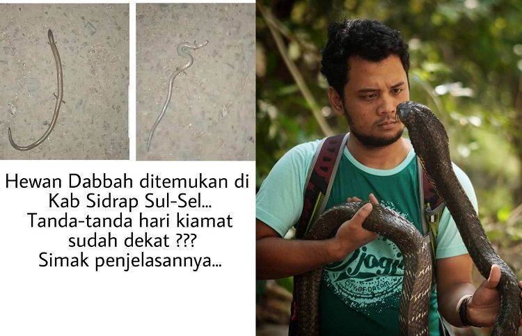 Dikaitkan Dengan Tanda Kiamat Kemunculan Ular Berkaki Empat