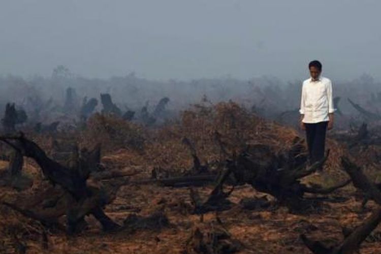 Presiden Joko Widodo berada di tengah area hutan gambut yang rusak dan hangus saat melakukan inspeksi kebakaran hutan di Banjarbaru, Kalimantan Selatan.