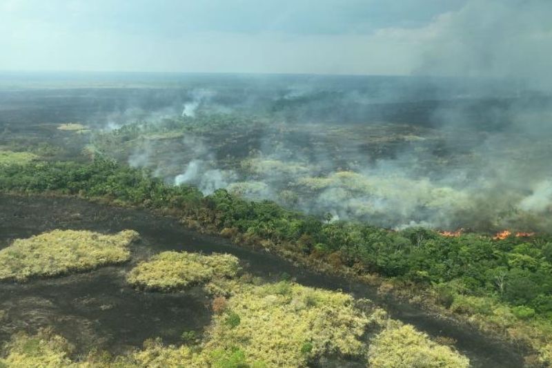 Kebakaran hutan Amazon