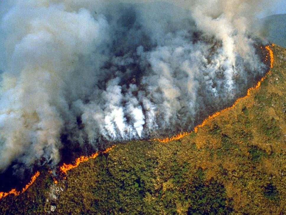 Kebakaran di Hutan Amazon 30 tahun silam (1989)