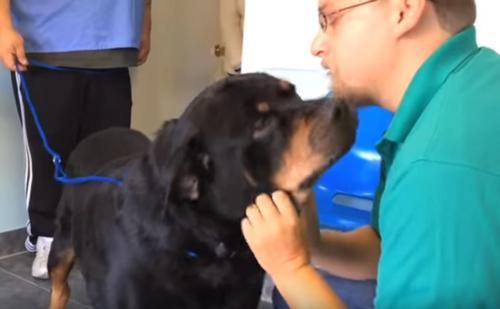 Anjingnya Hilang Selama 8 Tahun, Pria Ini Akhirnya Kembali Bertemu dengan Hewan Kesayangannya, Begini Momen Pertemuannya