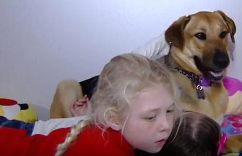 Tim Penyelamat Berusaha Mendekati Anjing Liar Selama Berbulan-bulan, Bocah 6 Tahun Ini Justru Tak Butuh Waktu Lama!