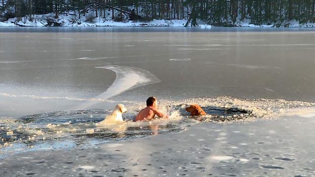 Tanpa Pikirkan Keselamatannya Sendiri, Pria Ini Rela Terjun ke Danau Es untuk Selamatkan Dua Anjing