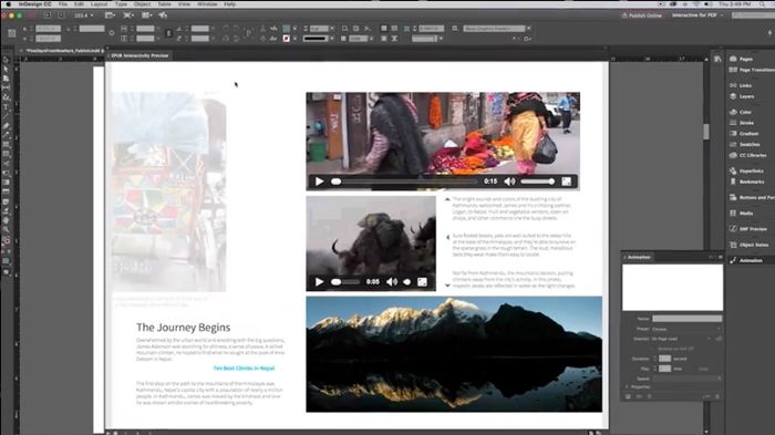 Adobe InDesign