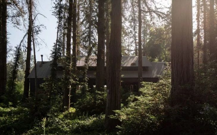 Tampak Mallarauco House di Tengah Hutan Belantara