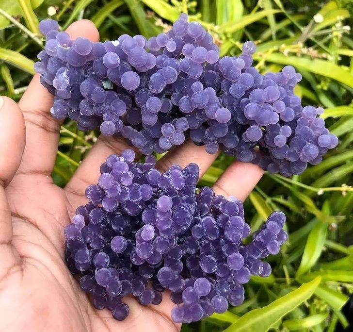 Agate purple grapes