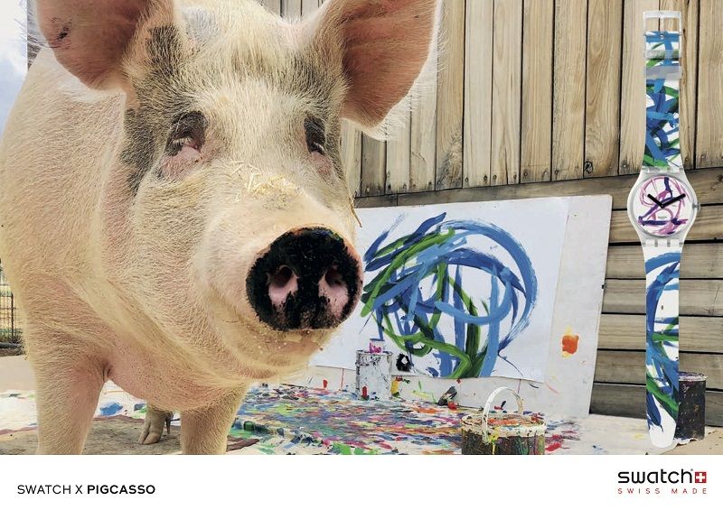 Dinamai Mirip Seniman Terkenal, Babi yang Hampir Disembelih Ini Berhasil Ciptakan Karya Seni Seharga Puluhan Juta