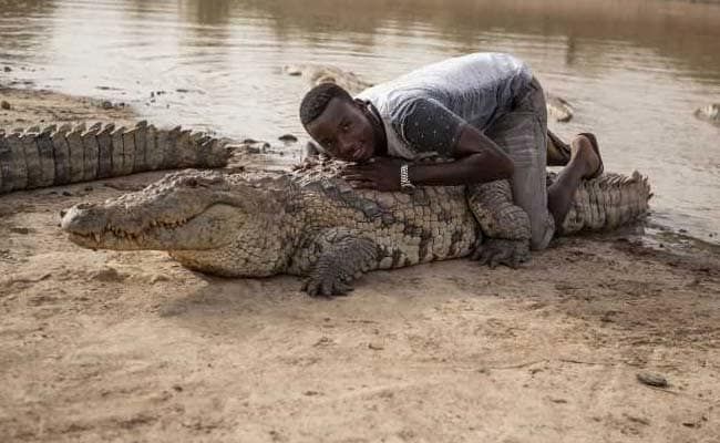 Warga duduk di atas buaya adalah hal biasa di desa Bazoule